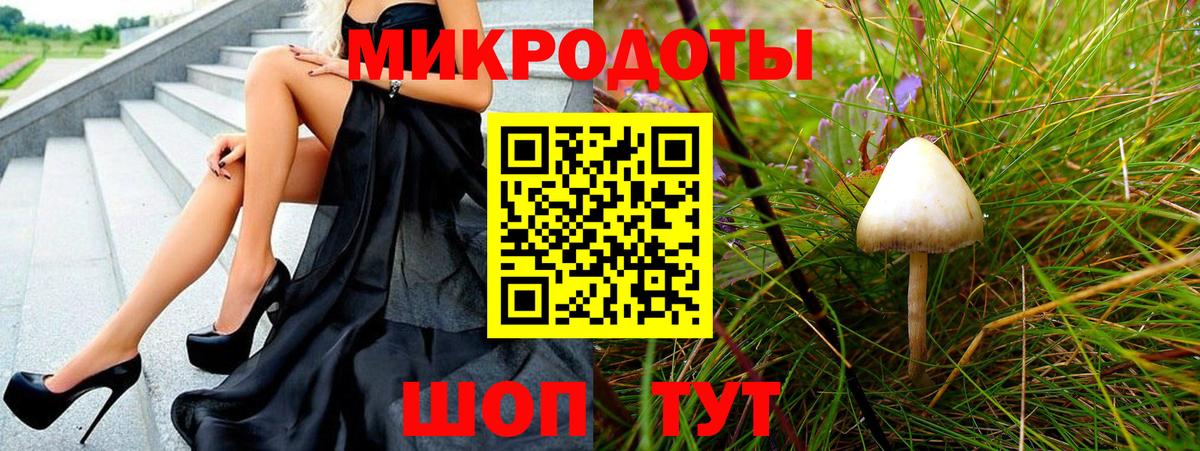 Галлюциногенные грибы Psilocybe Ярославль