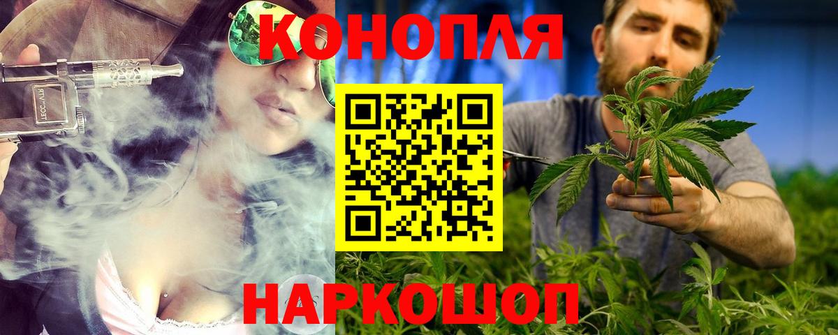 Бошки Шишки план Ярославль